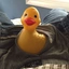 duckpic