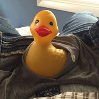 duckpic